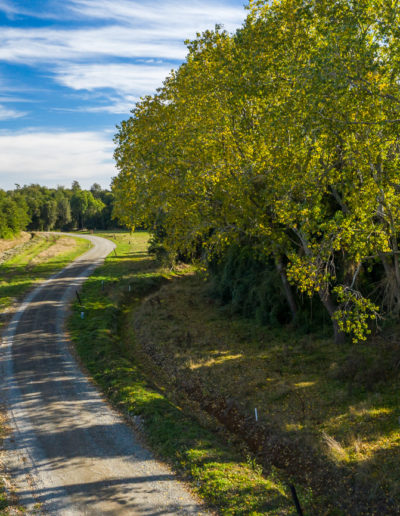 Copia de DJI_0096_042