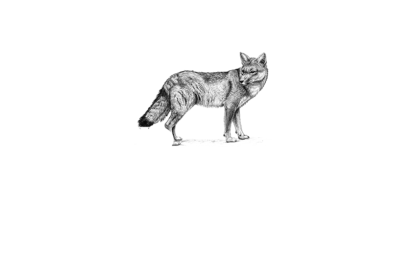 Reserva Frutillar