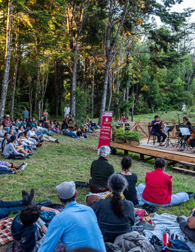 Copia de LRDF_Concierto_BajaRes_076